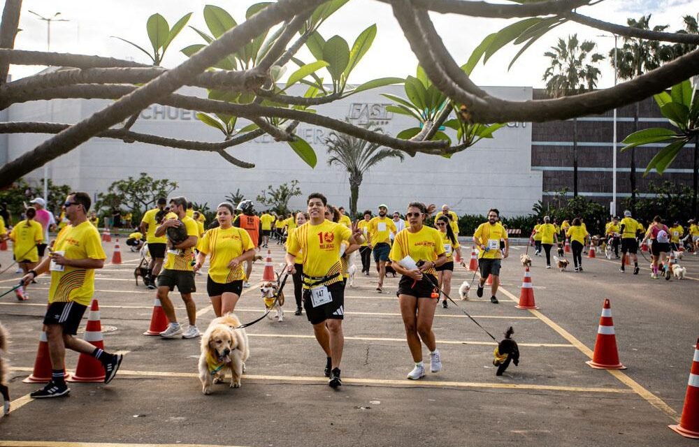 Cachorrida e Garotada agitam Vila Velha neste sábado (26) com recorde de participantes