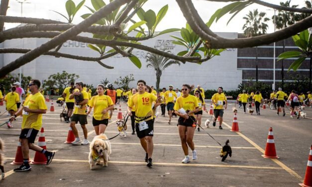 Cachorrida e Garotada agitam Vila Velha neste sábado (26) com recorde de participantes
