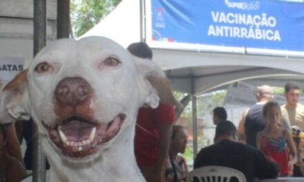 Começa neste sábado (12) a Campanha de Vacinação antirrábica. Confira datas e locais.