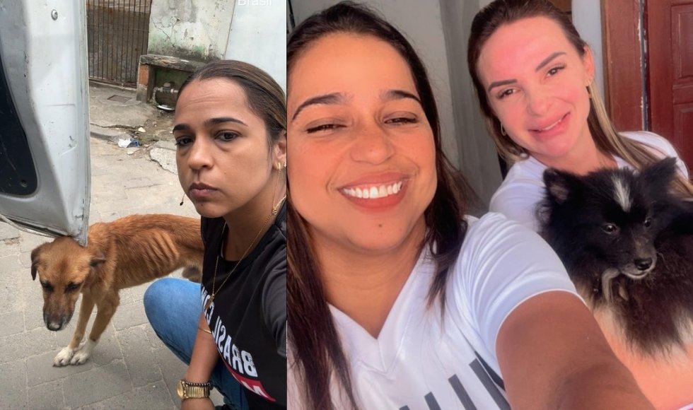 Uma vida pelos animais: Sabrina Leonel, pioneira na defesa dos animais em Vila Velha